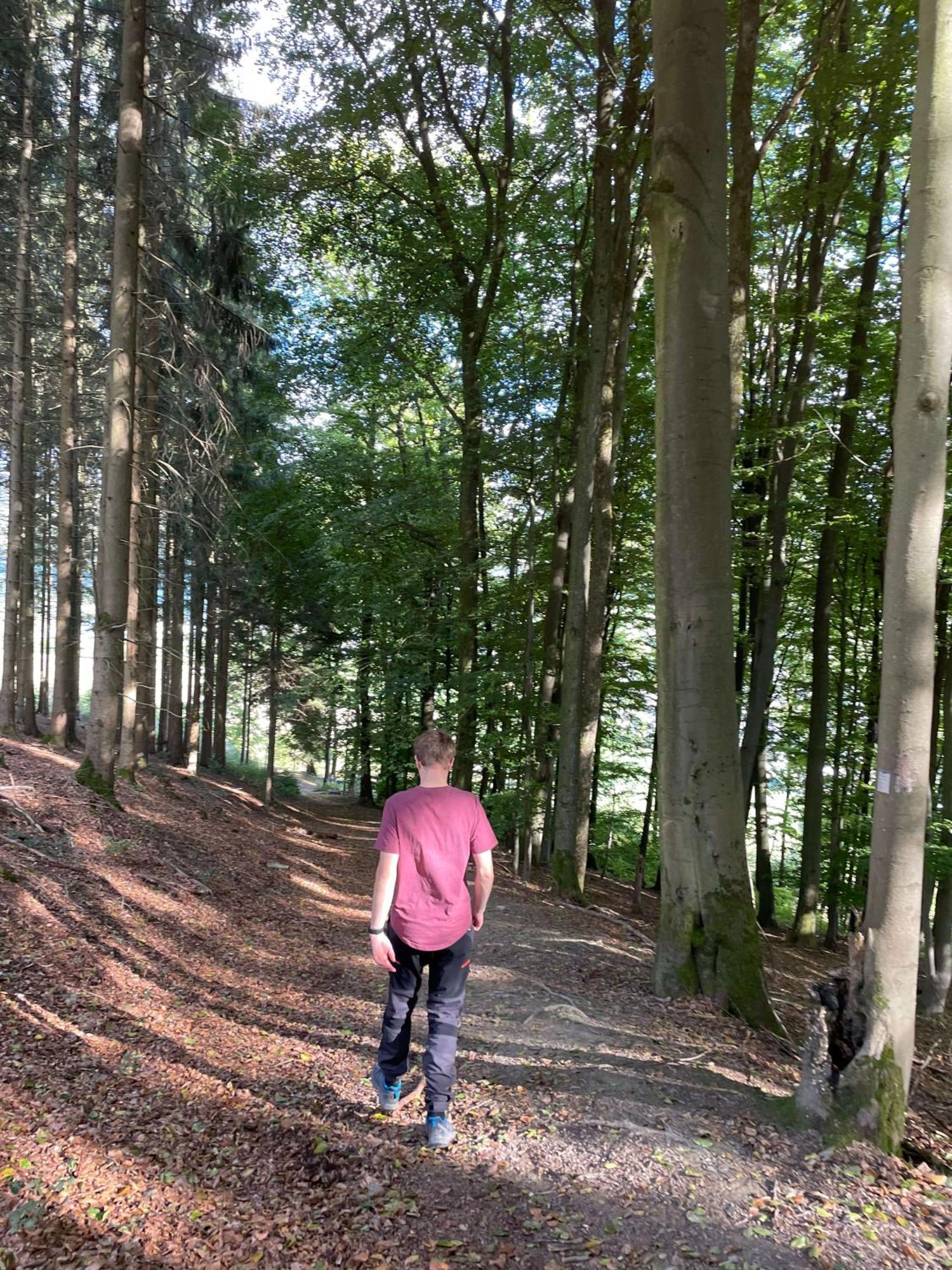 Landgasthof Reinert Reiste Exteriér fotografie